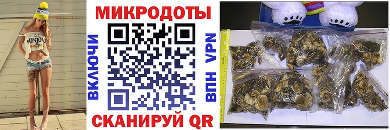 Псилоцибиновые грибы Psilocybine cubensis  Озёры 